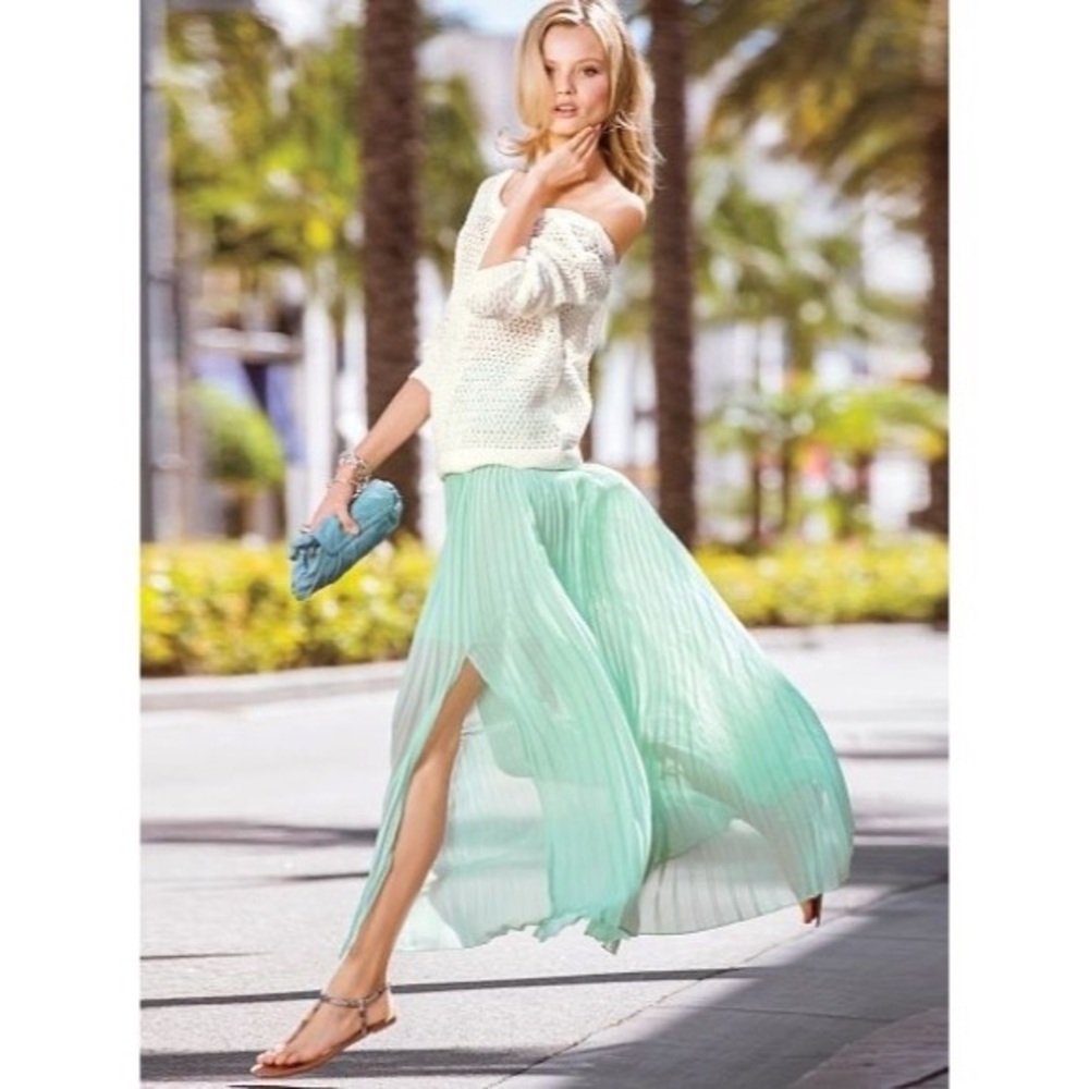 NWOT Maxi Pleated Skirt